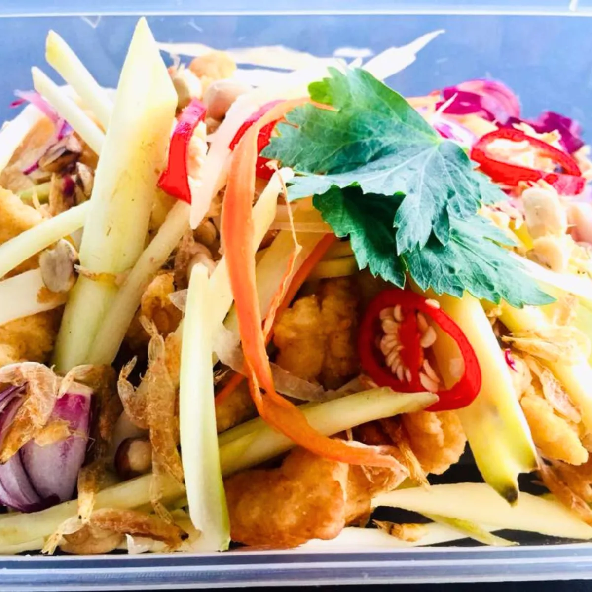 Meat - Deep Fried Fish Fillet with Mango Salad